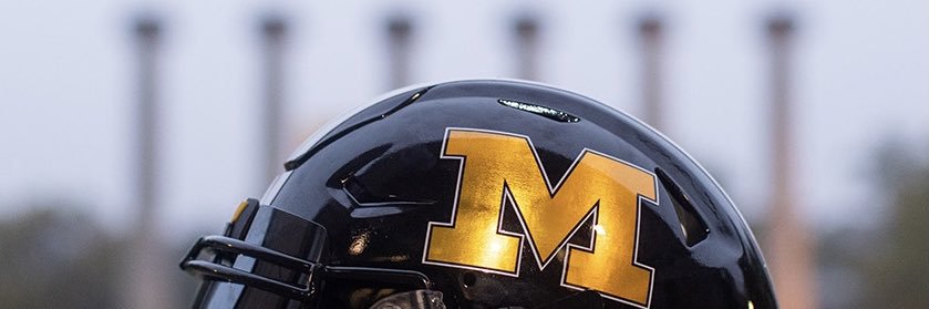 Rilee Stapleton banner