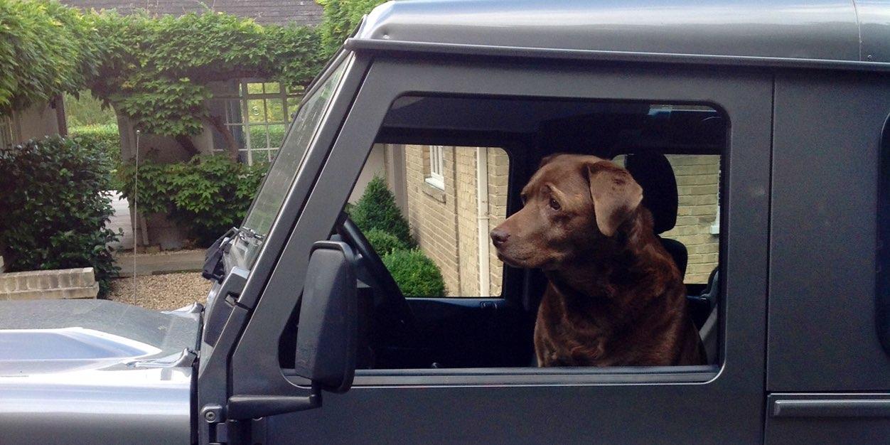 stas anastasiades banner