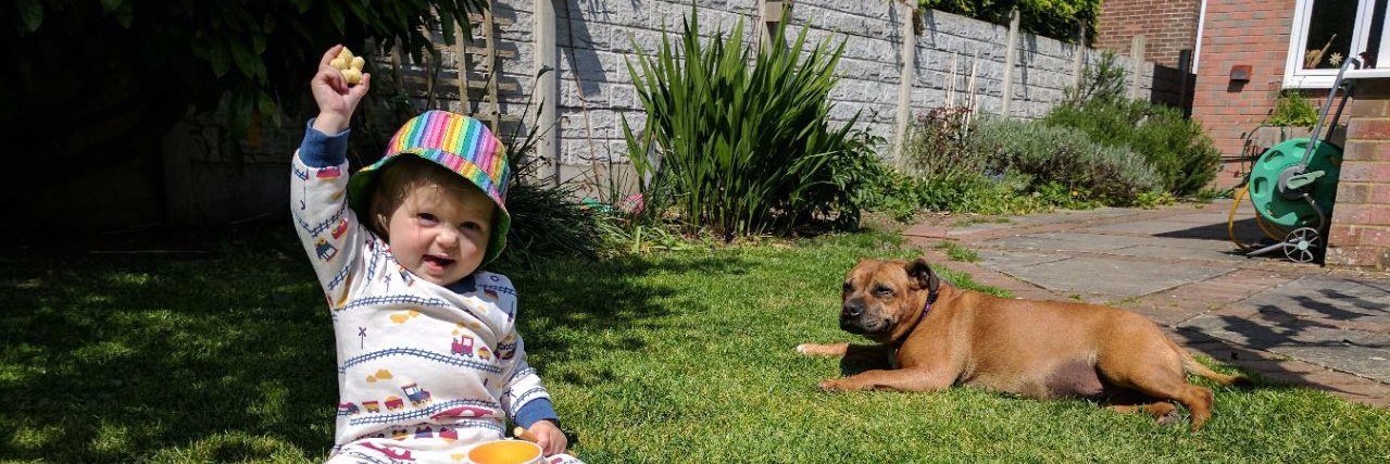 Daniel Cunningham banner