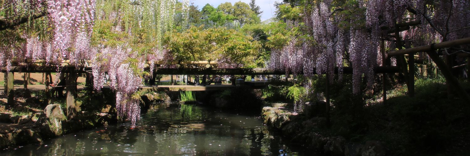 若月捕手移籍真剣希望会🌗 banner