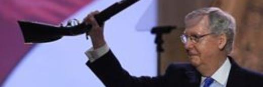 GOP Senate Majority banner