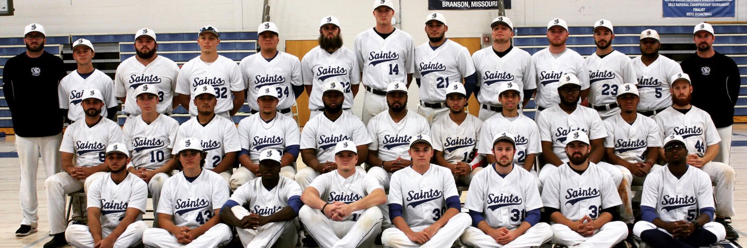 CSJ_Baseball's profile banner image