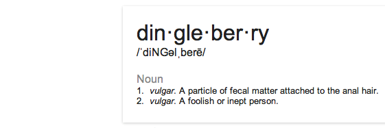 dingleberrrry's profile banner image