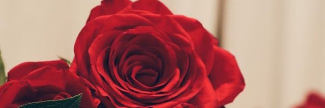 _Dayji_'s profile banner image