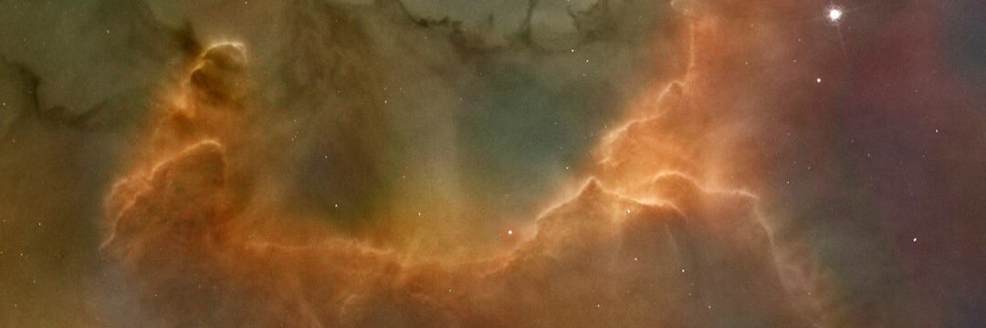 monjello_duck's profile banner image