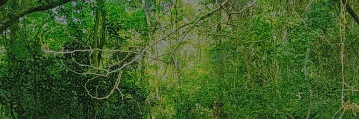 Futurista🌈 banner