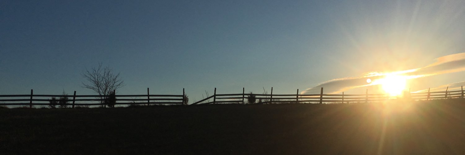 notsamdove's profile banner image