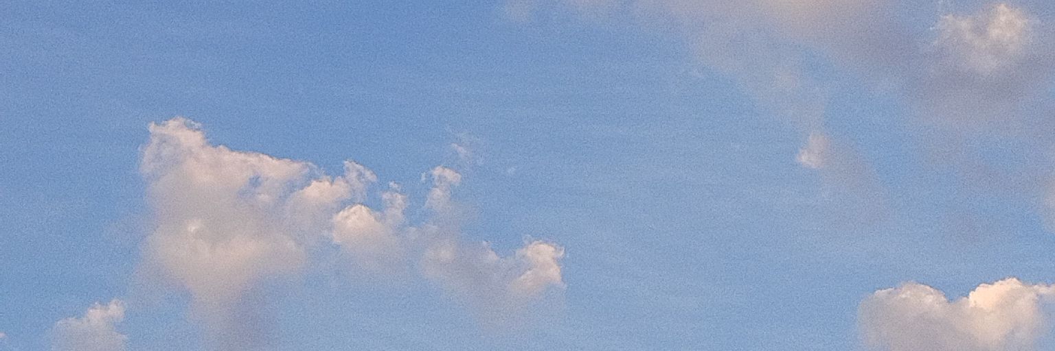 kingdray012's profile banner image