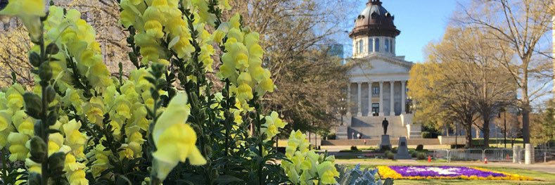 Ashley Crary Lidow (she/her) banner
