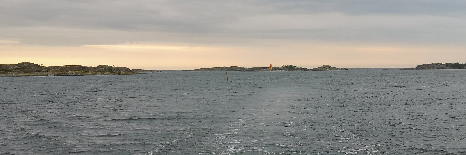 Tuija Mikkonen banner