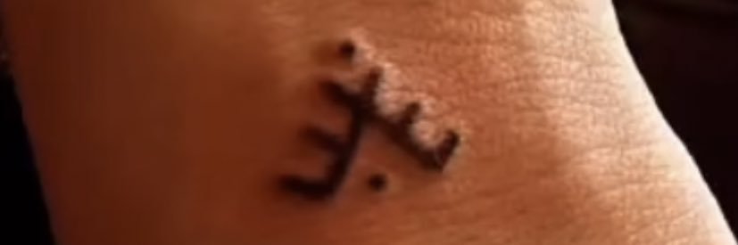 Perpperok📚 VİYAN banner