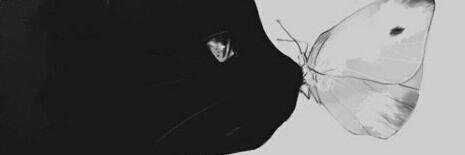 dengesizmadam's profile banner image