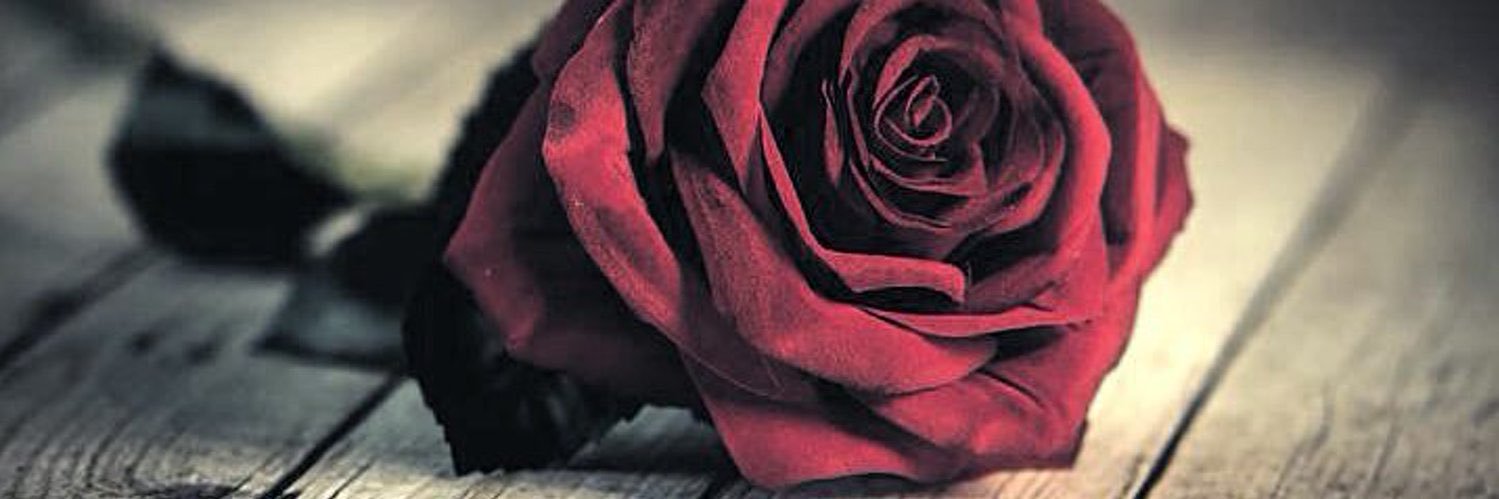quentin59m's profile banner image
