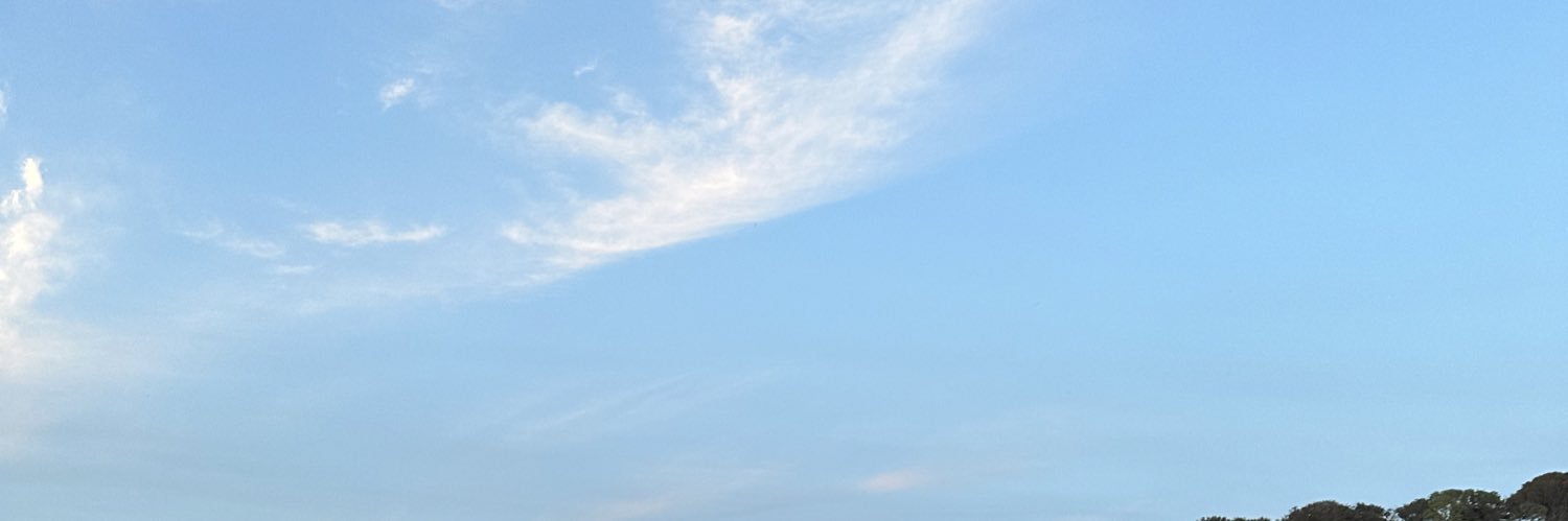 Brown_Jesss's profile banner image