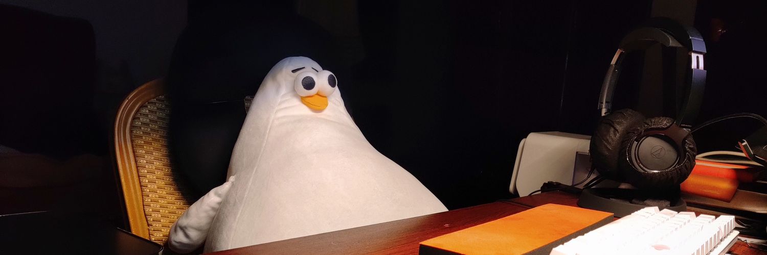 ChickenR1ce's profile banner image