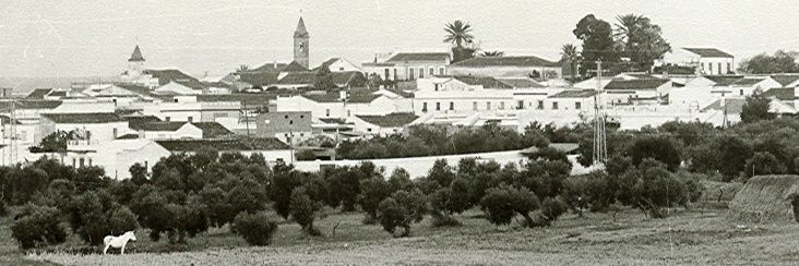 Jose Manuel Payán banner