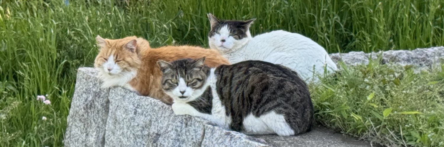 tompoo0's profile banner image