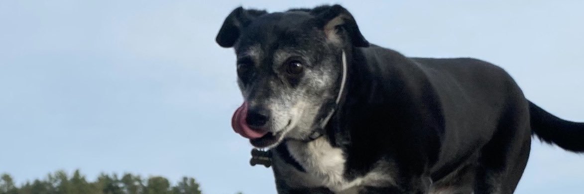 TuckerQGee's profile banner image