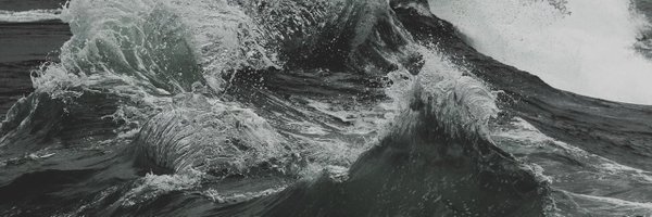 mushrine Profile Banner