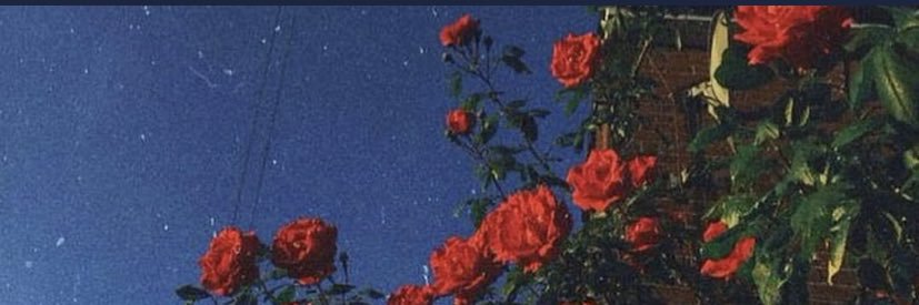 kendra__xo's profile banner image