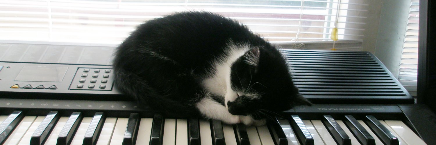 Batterpunts 🐀 banner