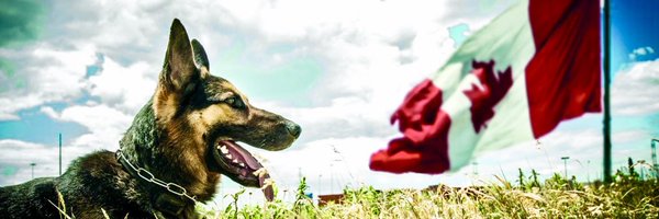 DRPS_K9 Profile Banner