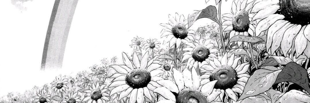 imstoopidbro's profile banner image