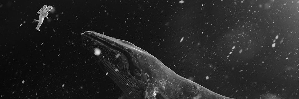 luscasyi's profile banner image
