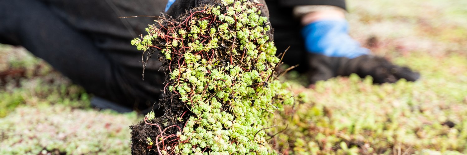 DutchGreenroof's profile banner image