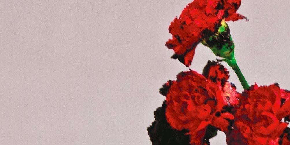 CarlaNaize's profile banner image