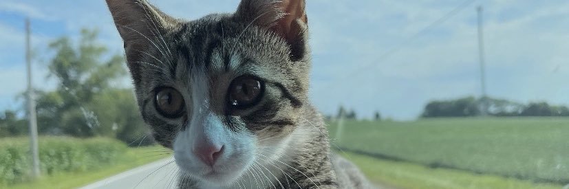 Ashleyf1414's profile banner image