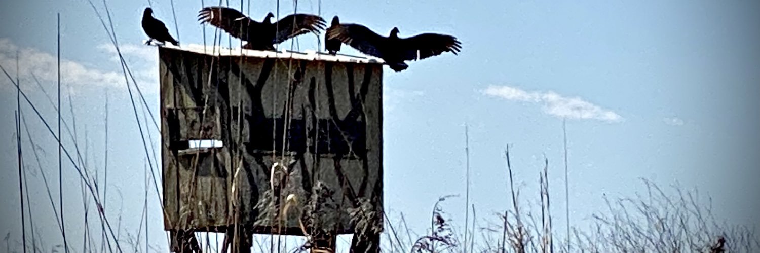 Brandon Greer banner