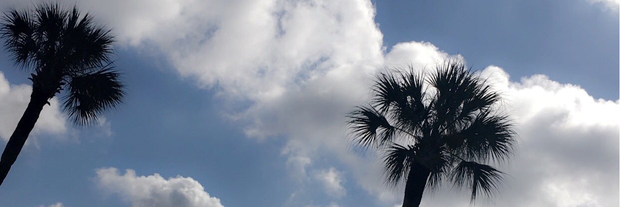 carrlynnn's profile banner image