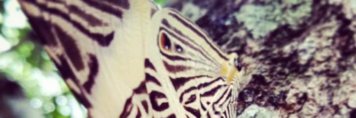 Andres_no_'s profile banner image