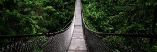 cutieiscabello's profile banner image