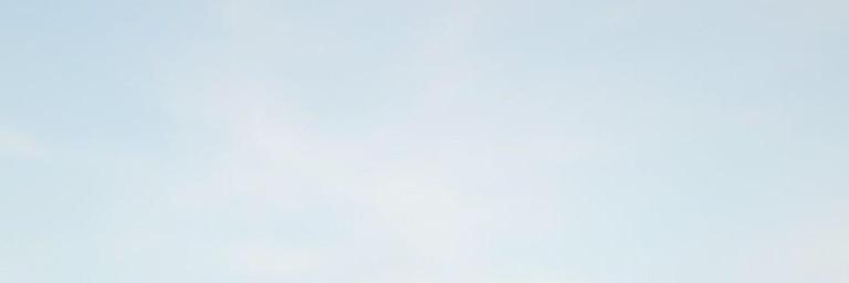 crownzoella's profile banner image