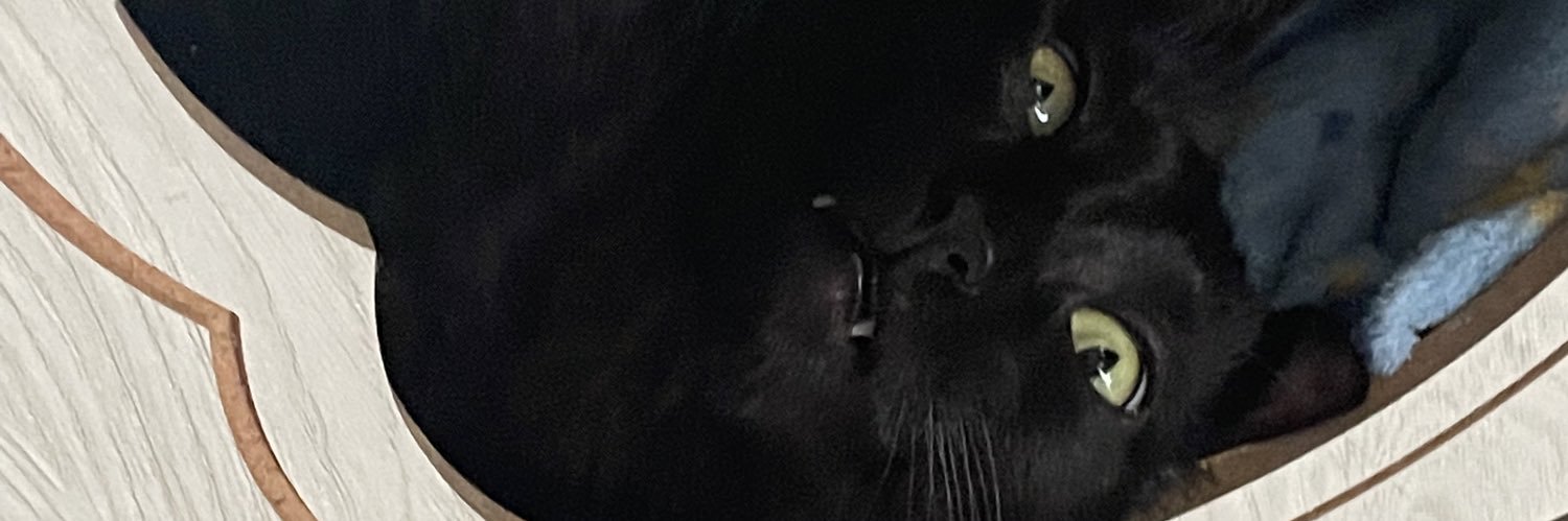 loreerodrigs's profile banner image