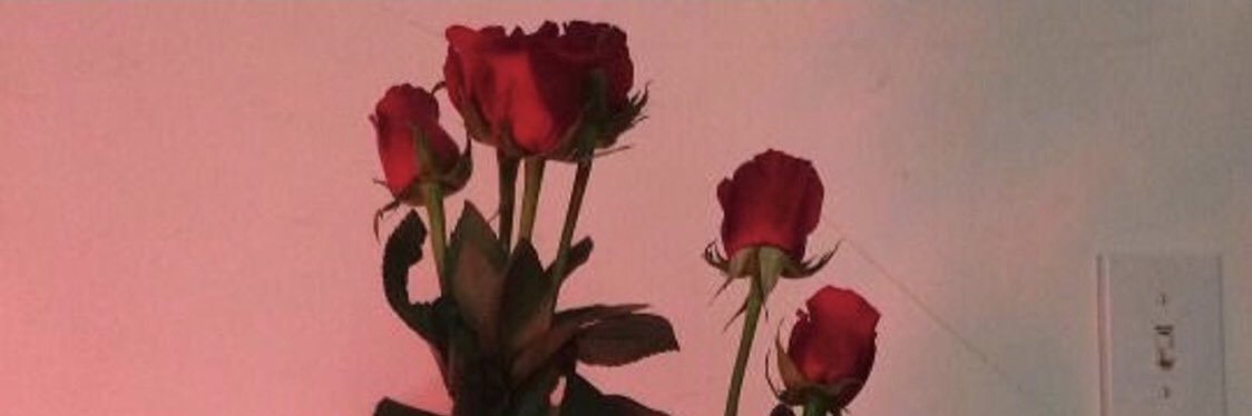 allygonzalez__'s profile banner image