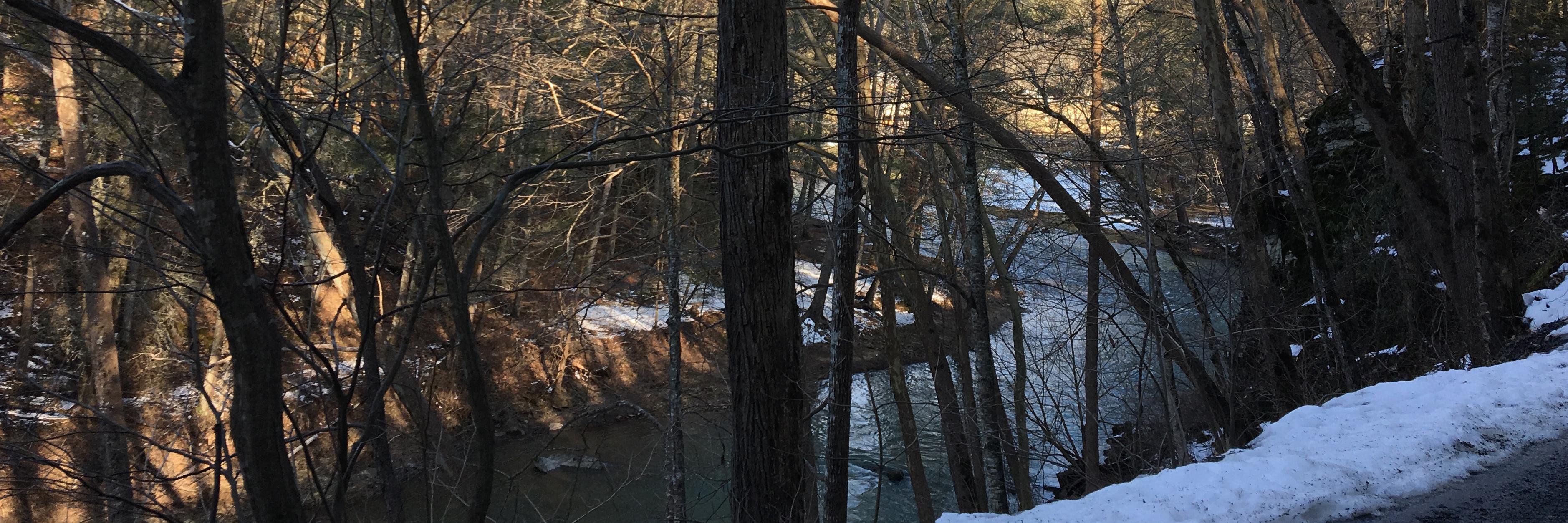 Jackson River banner