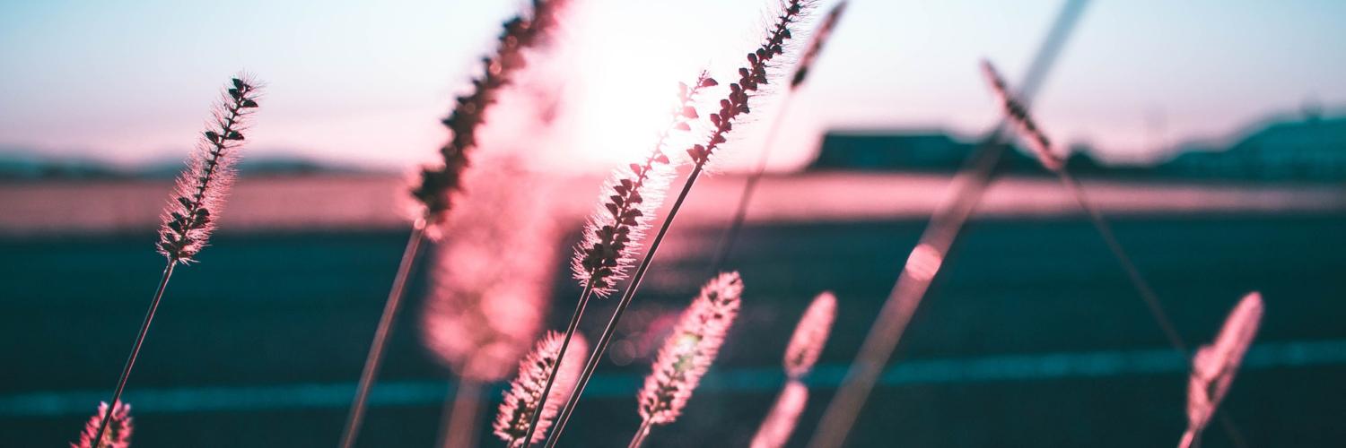kieshafrue's profile banner image