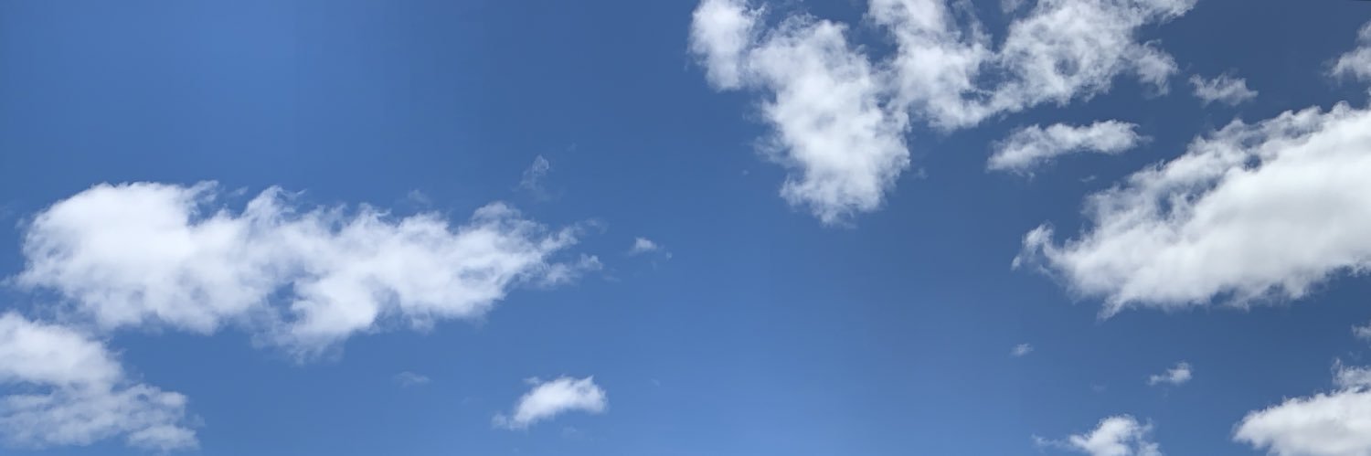 Tramitized_DPT's profile banner image
