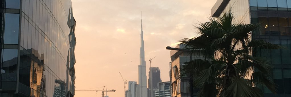 EvelynTweets's profile banner image