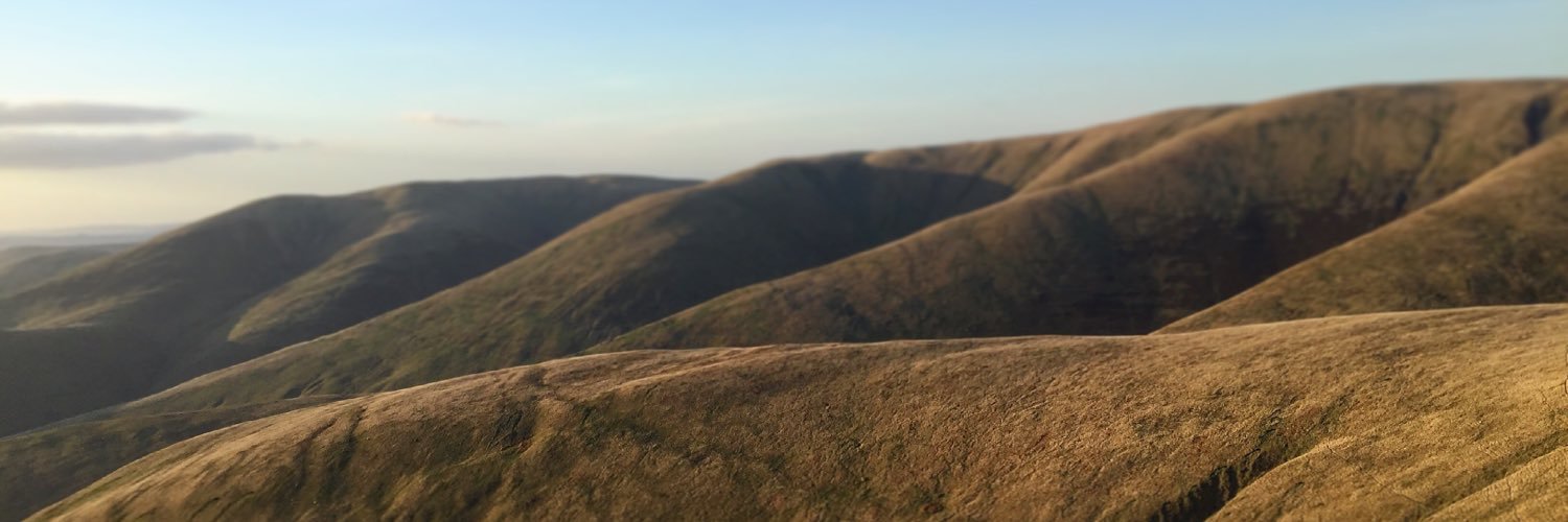 nilskillgren's profile banner image