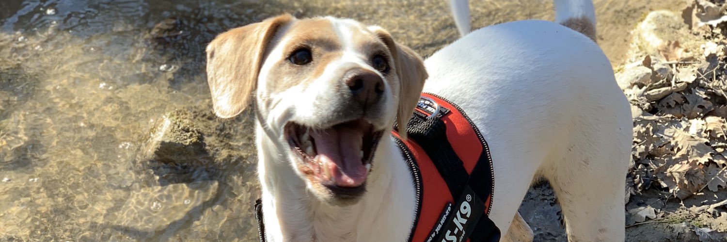 maanortg's profile banner image