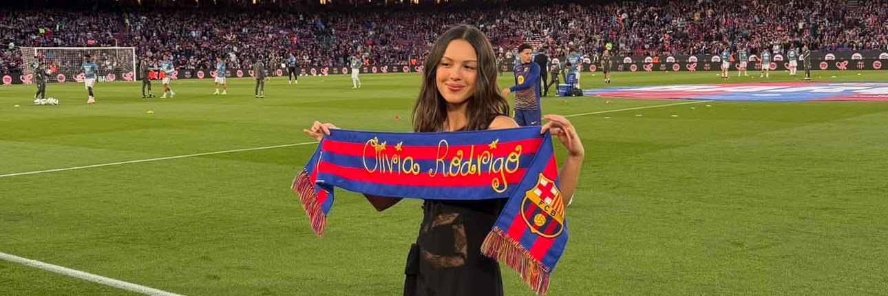 C R I S banner