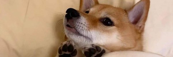 soybuenatarde Profile Banner