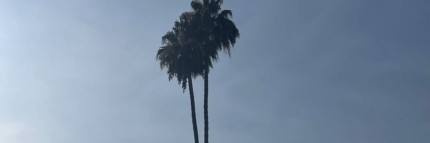 alexiGRT's profile banner image