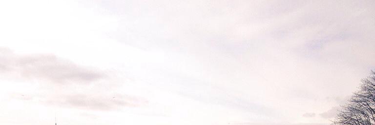 V banner