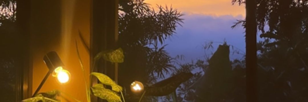 izaakjtk's profile banner image