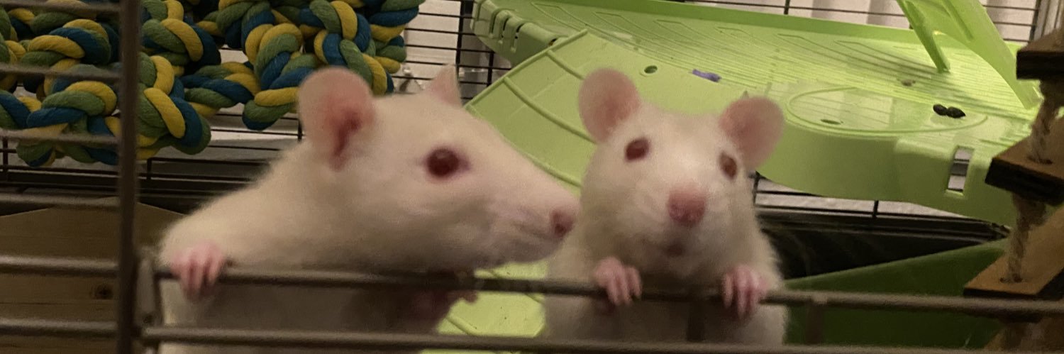 i’m a shouty man !!! banner